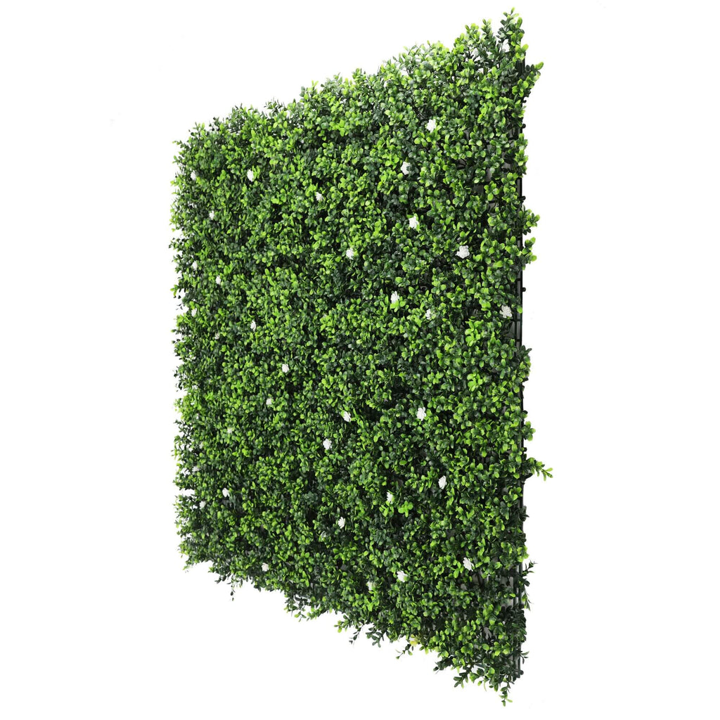 Sample Panel – White Flowering Boxwood Green Wall (Small Sample)
