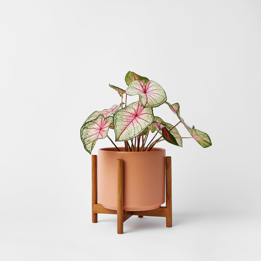 Rounded Hardwood Planter Stand