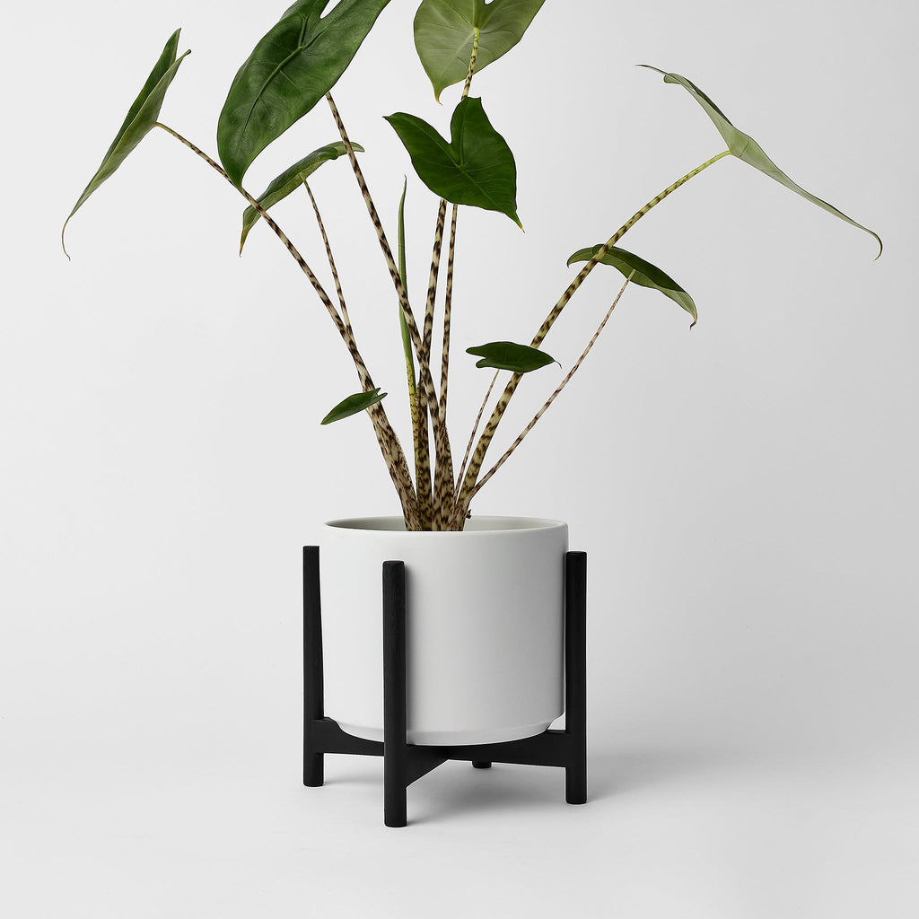 Rounded Hardwood Planter Stand