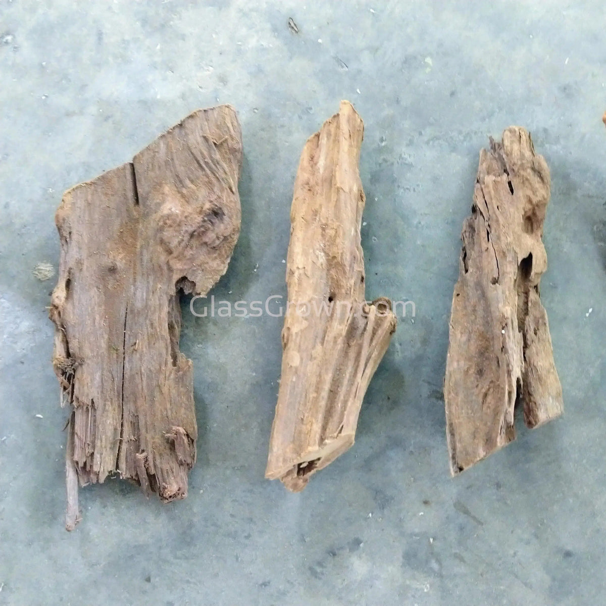 Malaysian Driftwood Small (5-7")