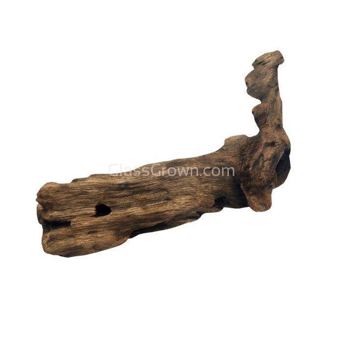 Mopane Congo Driftwood Medium (10-15")