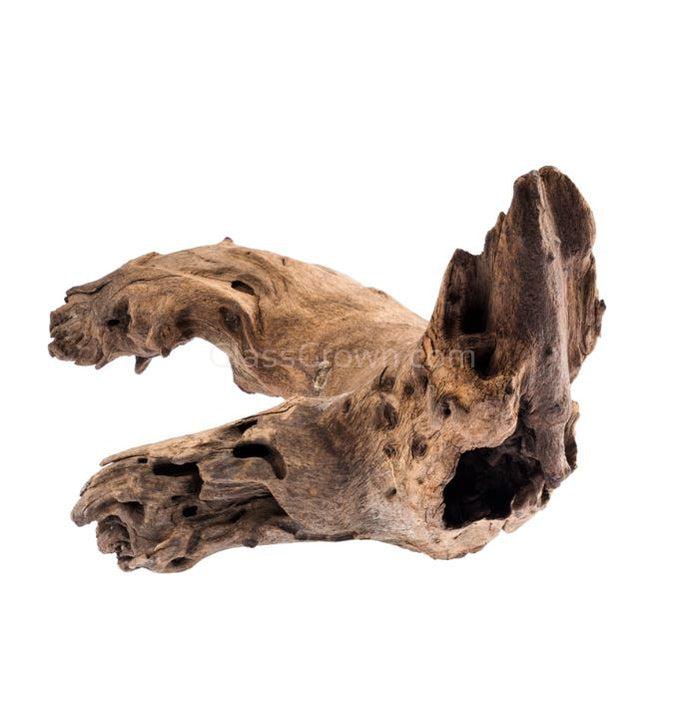 Mopane Congo Driftwood Small (6-10")