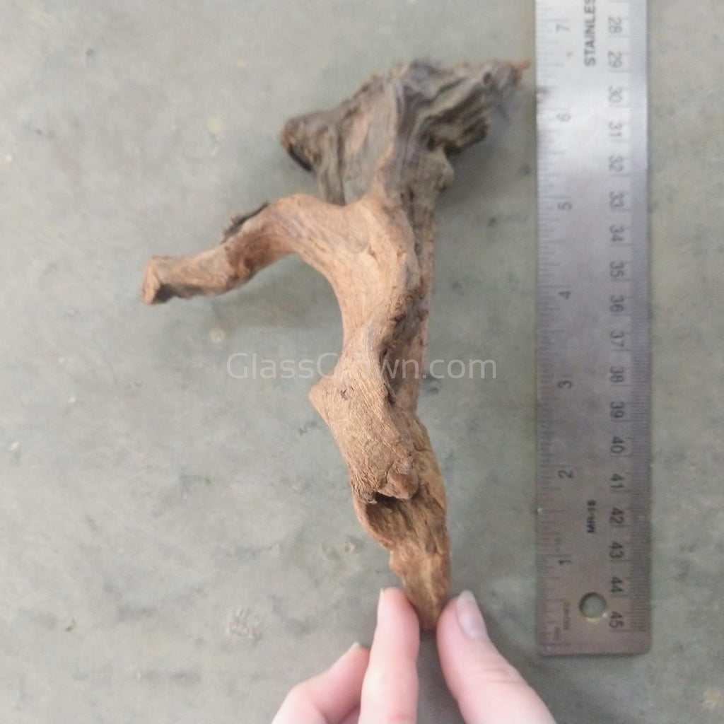 Pacific Driftwood Small (3-6")