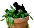 Soft Coated Wheaten Terrier Plant Stake