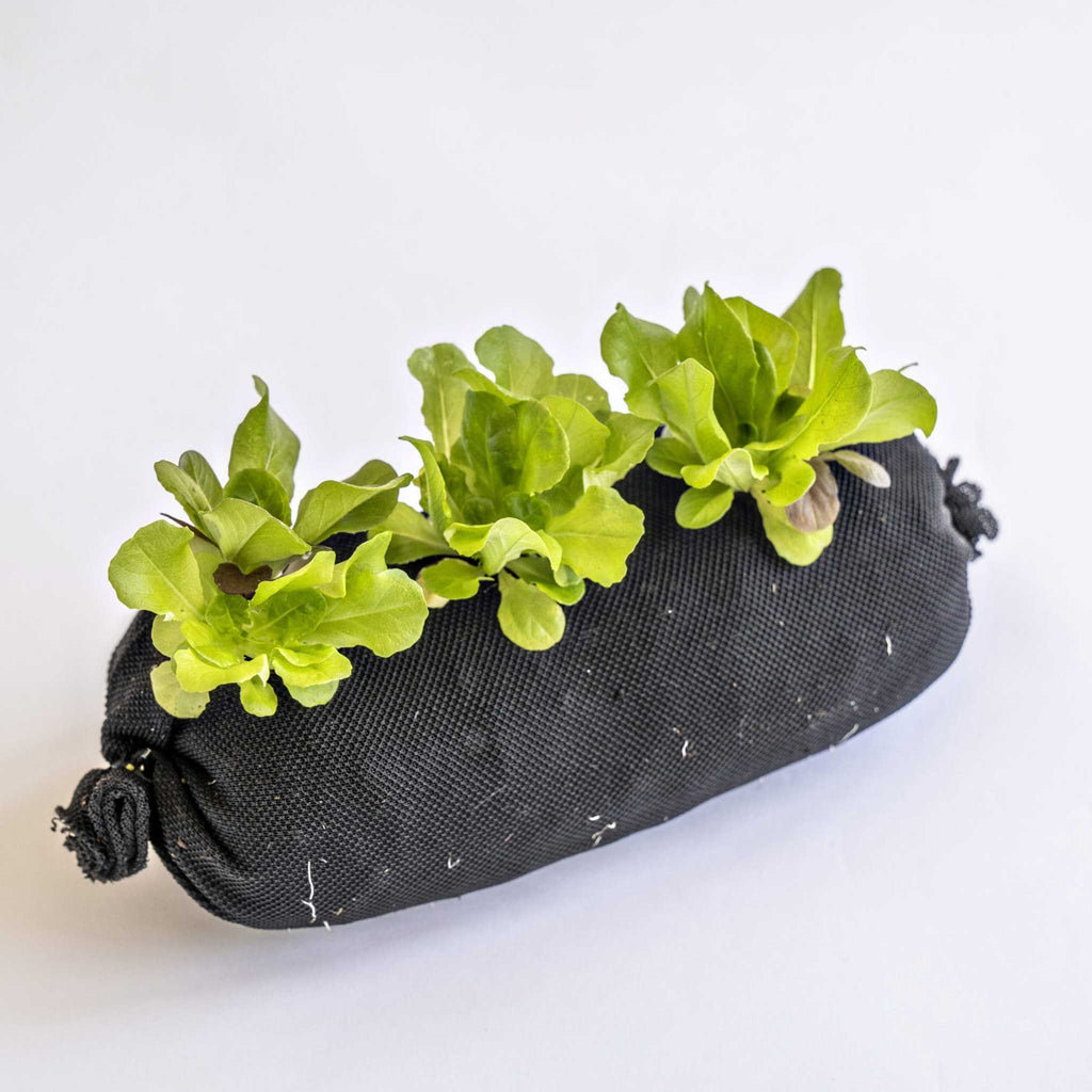 Varden™ Soil-Filled Vardensok