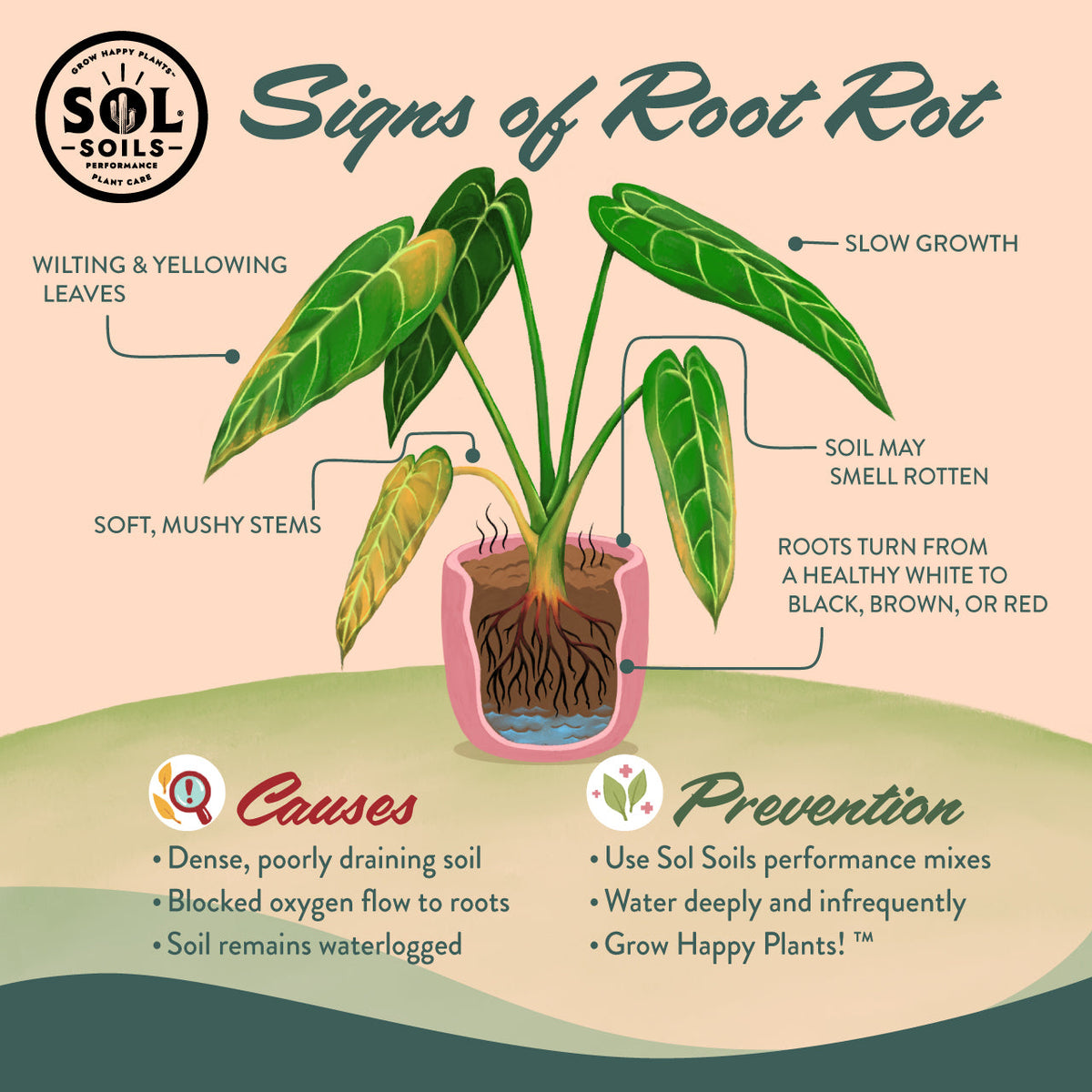 Bonsai Gritty Mix