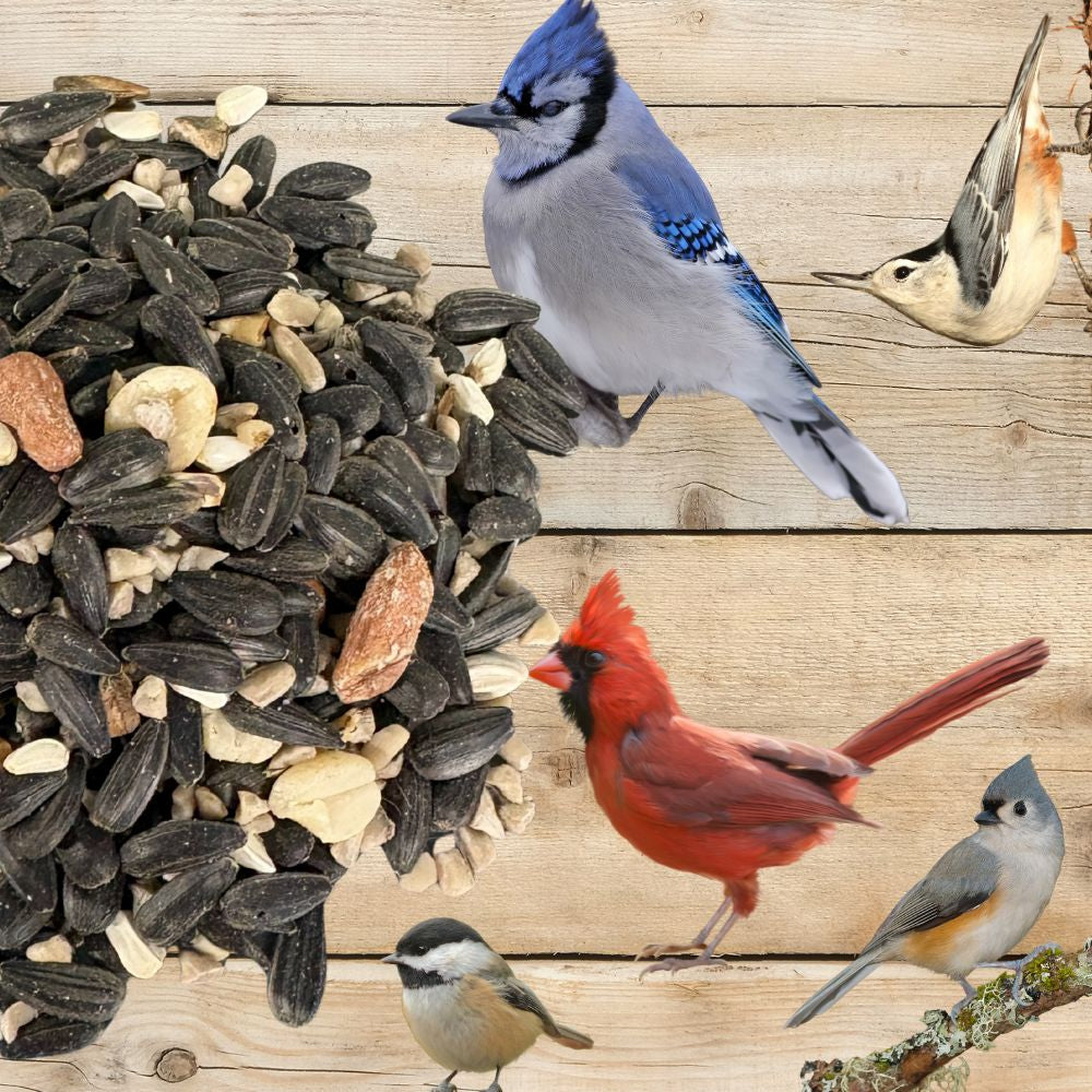Songbird Symphony Wild Bird Seed Blend