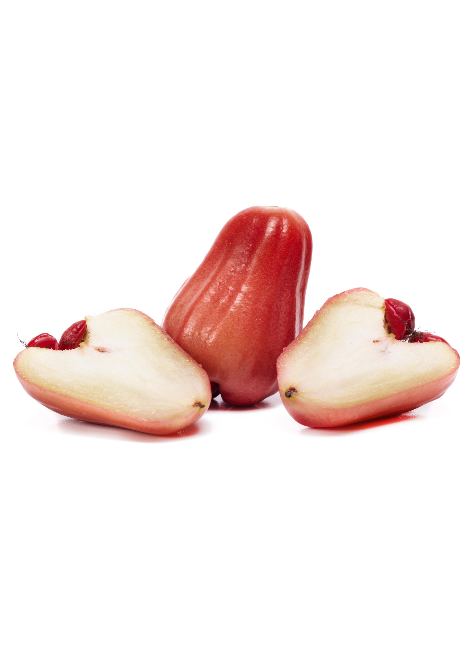 Malay Apple, Variegated (Syzygium malaccense)