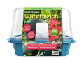Small, Sugary Watermelon Sprouter Terrarium