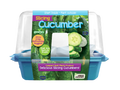 Slicing Cucumbers Sprouter Terrarium