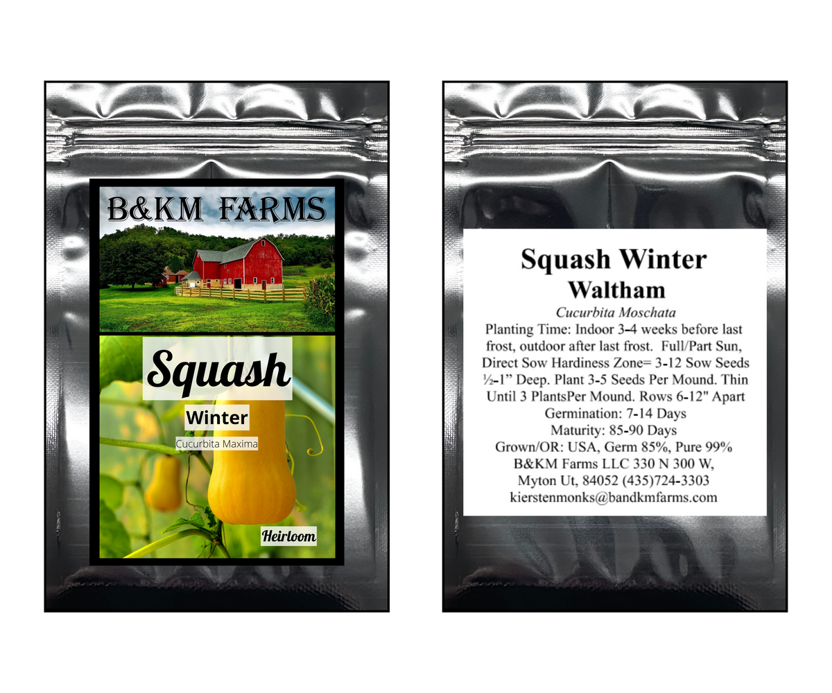 Butternut Winter Squash