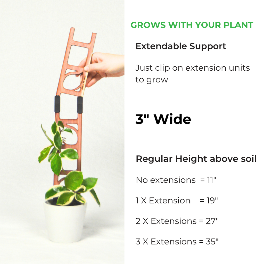 Stella - Modular ladder support