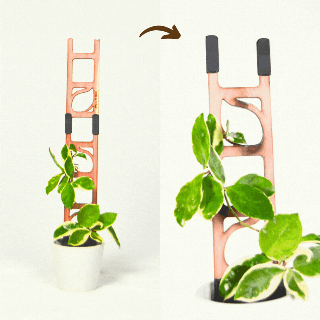 Stella - Modular ladder support