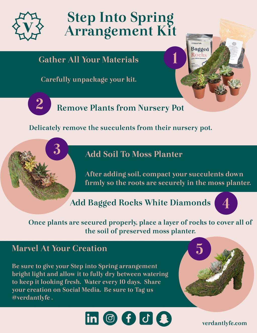 Stiletto Moss Planter Kit - DIY