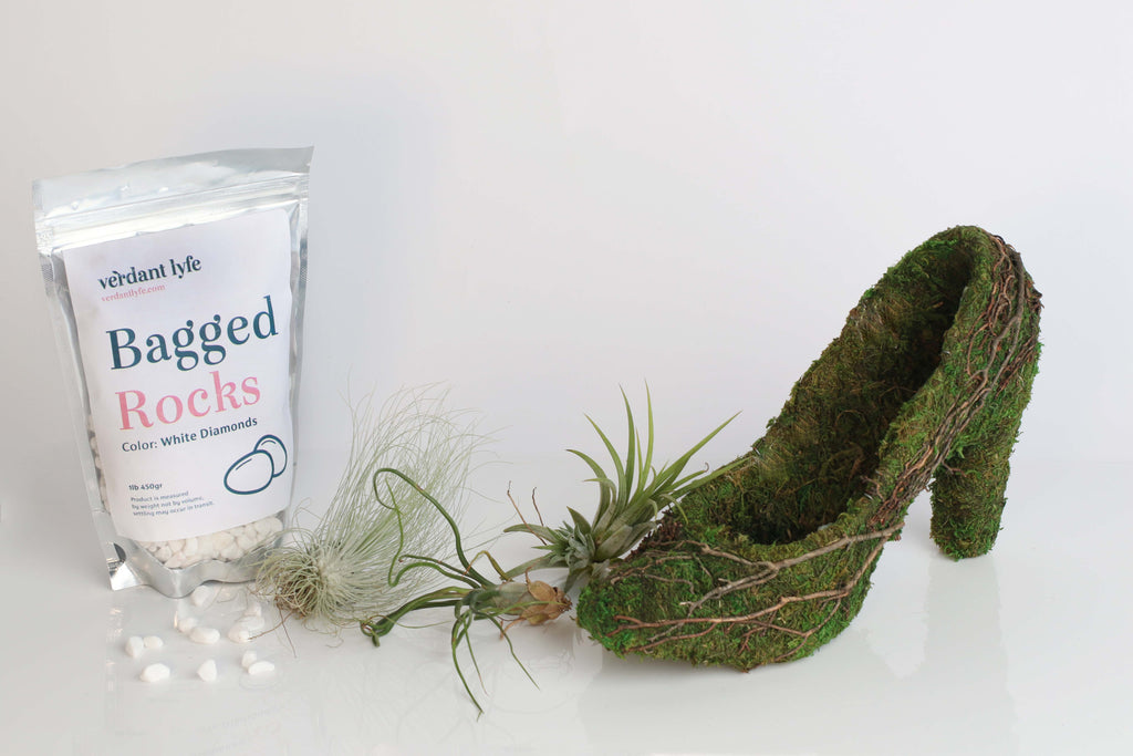 Stiletto Moss Planter Kit - DIY