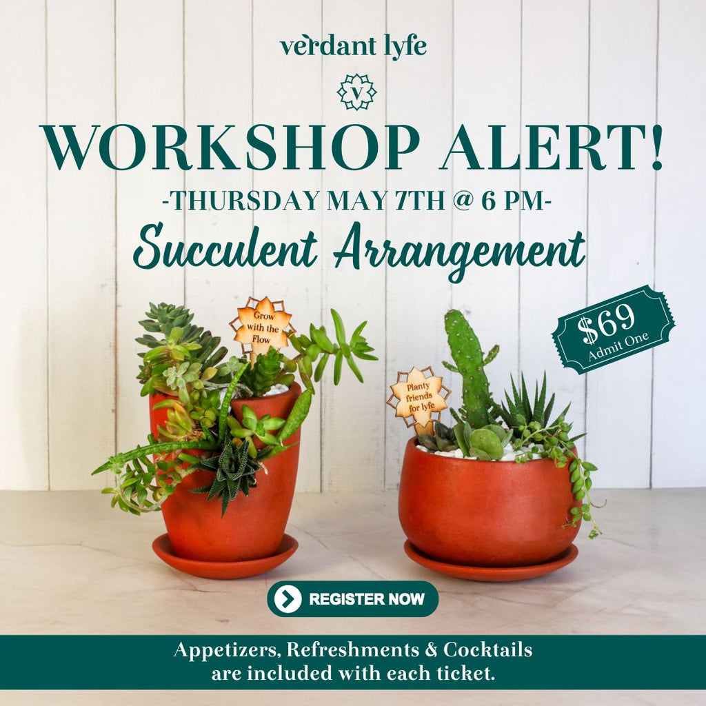 Love Grows Here Succulent Workshop- TBD