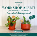 Love Grows Here Succulent Workshop- TBD