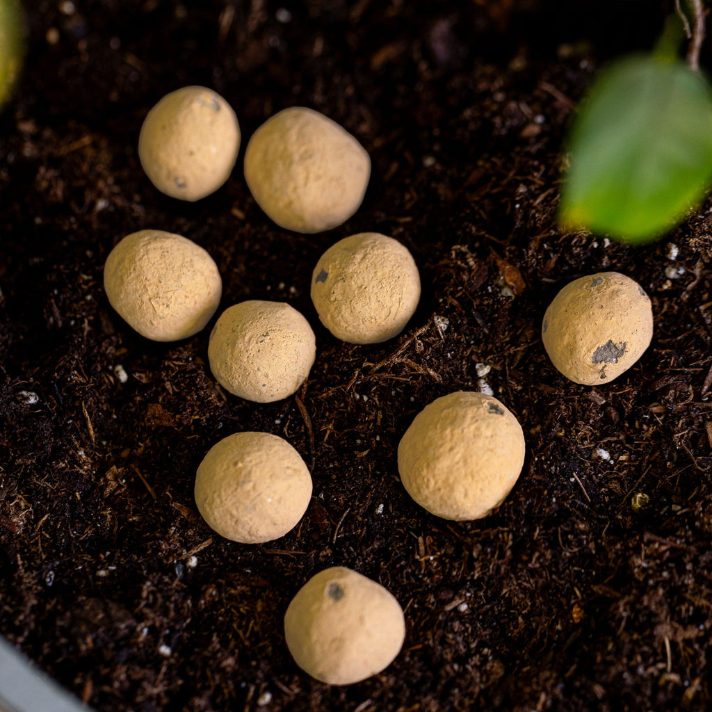 Golden Sunflower Wildflower Garden Confetti Seed Balls