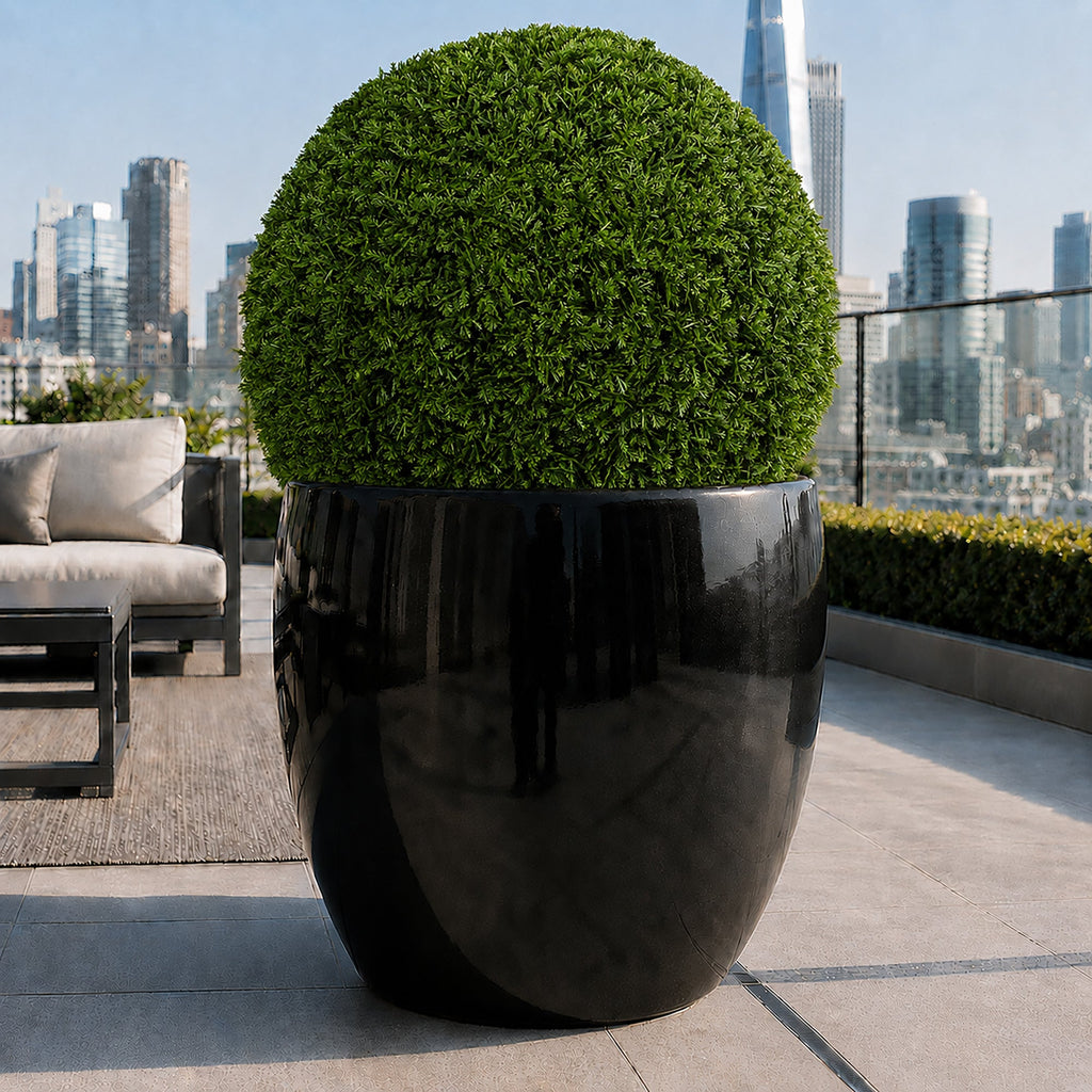 15" Large Cypress Topiary Ball