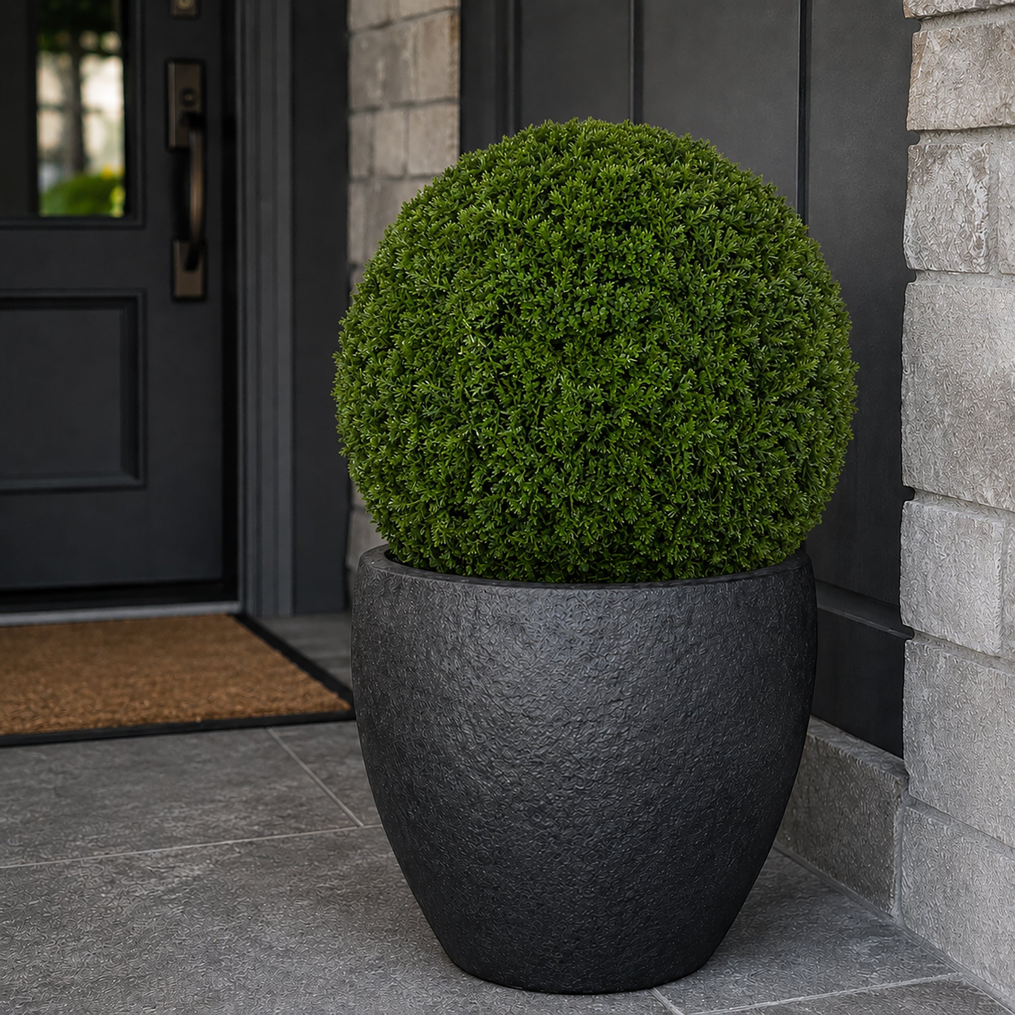 19" XL Cypress Topiary Ball