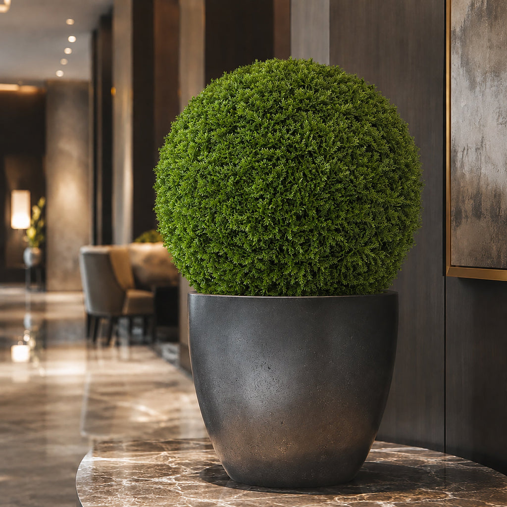 19" XL Cypress Topiary Ball