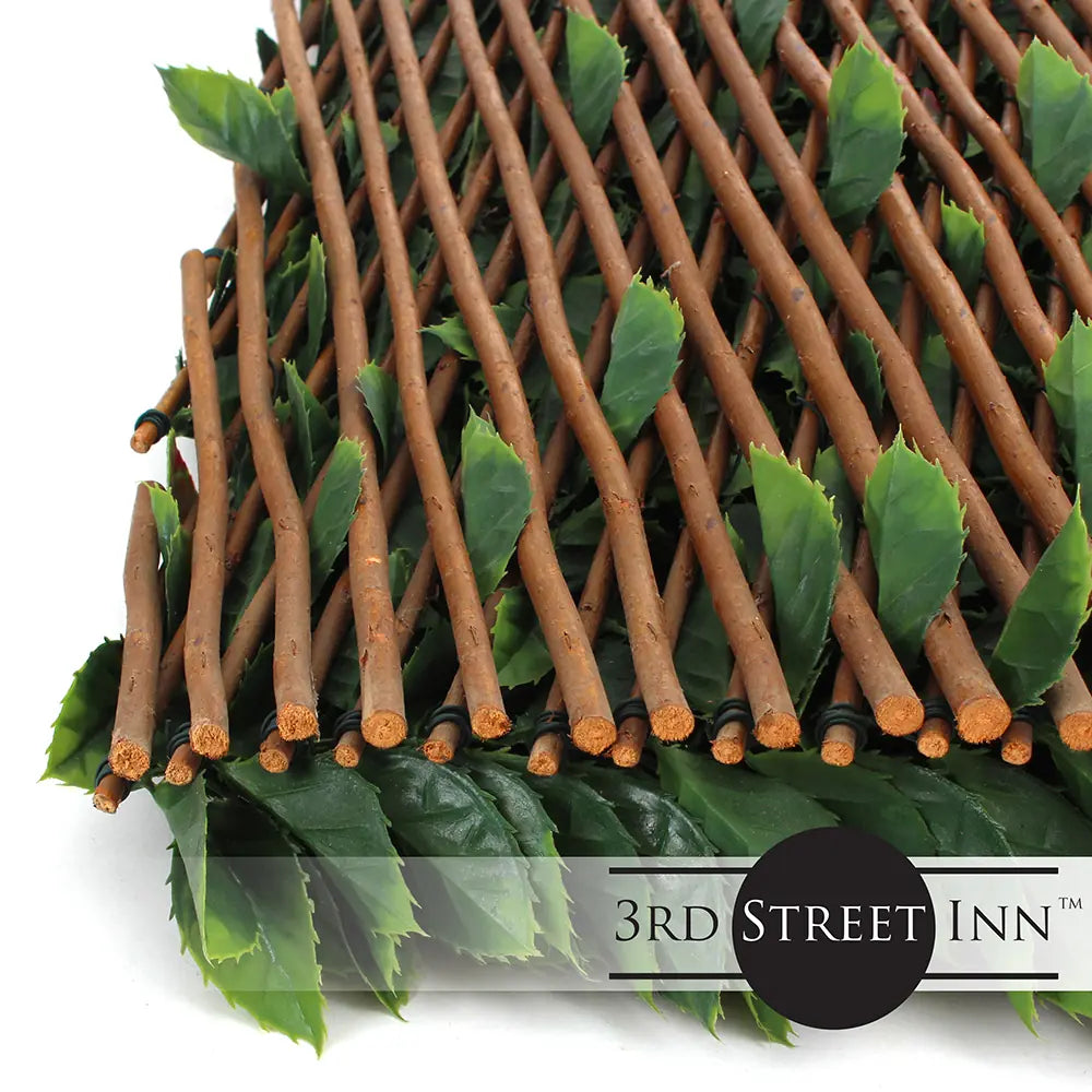 Red Tipped Photinia Trellis