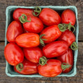 Supernova Grape Tomato