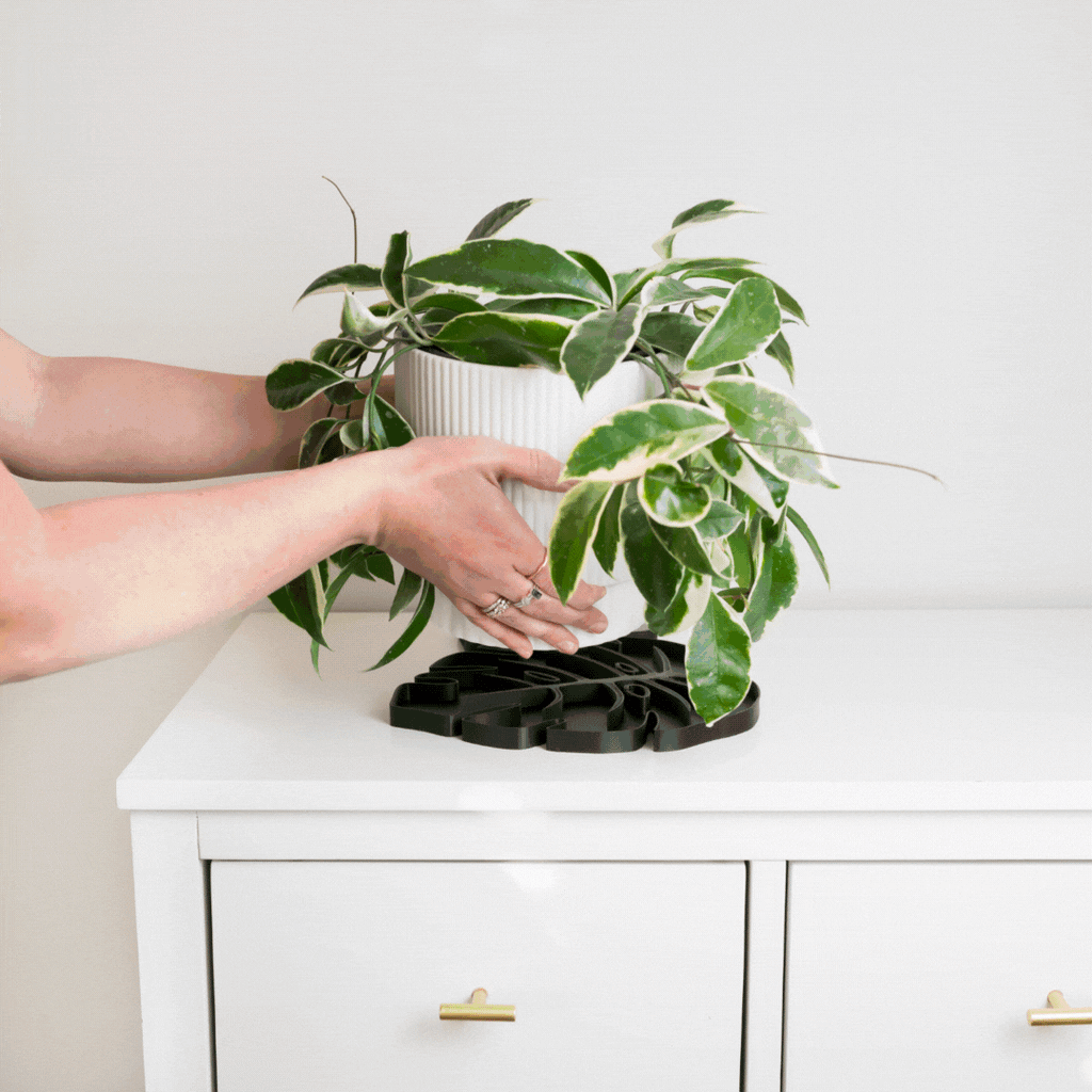 Tera™ Sausr™ - Leaf-shaped Pot Saucer - Drip tray for houseplants - Humidity tray