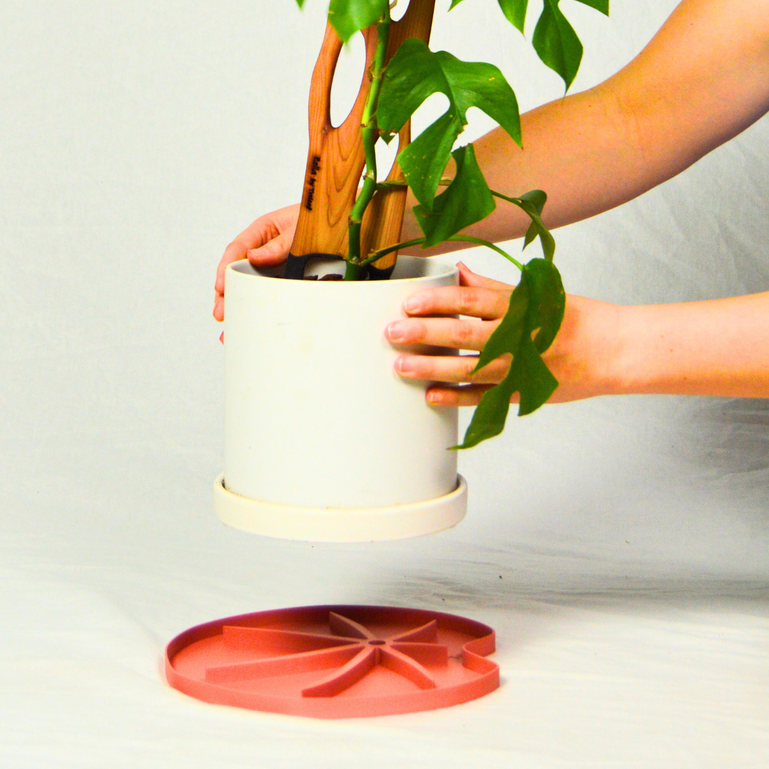 Lili™ Sausr - Lilly pad shaped Saucer - Spill tray - Drip tray for houseplants - Humidity tray