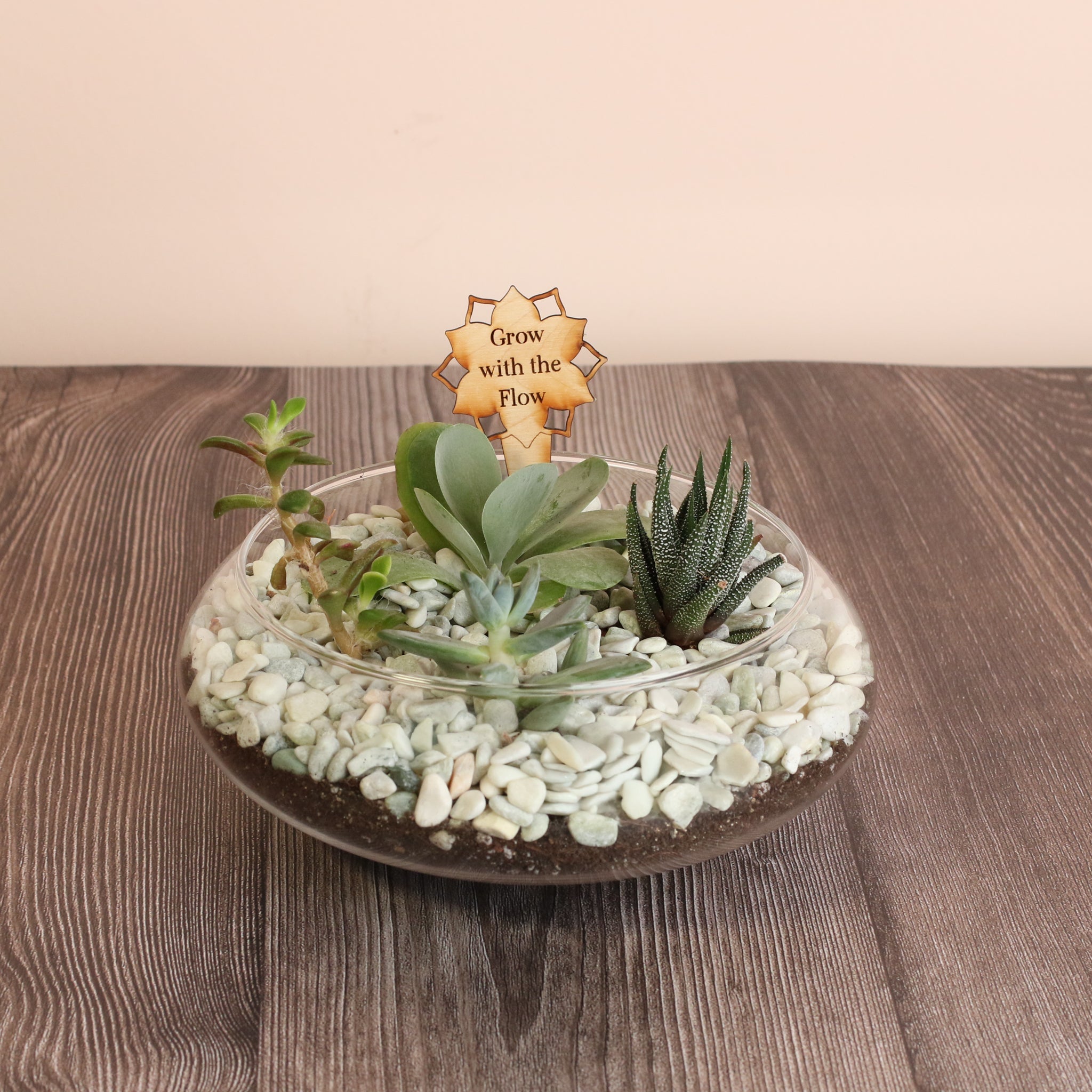 Sweetheart Terrarium Workshop - Thursday, TBD
