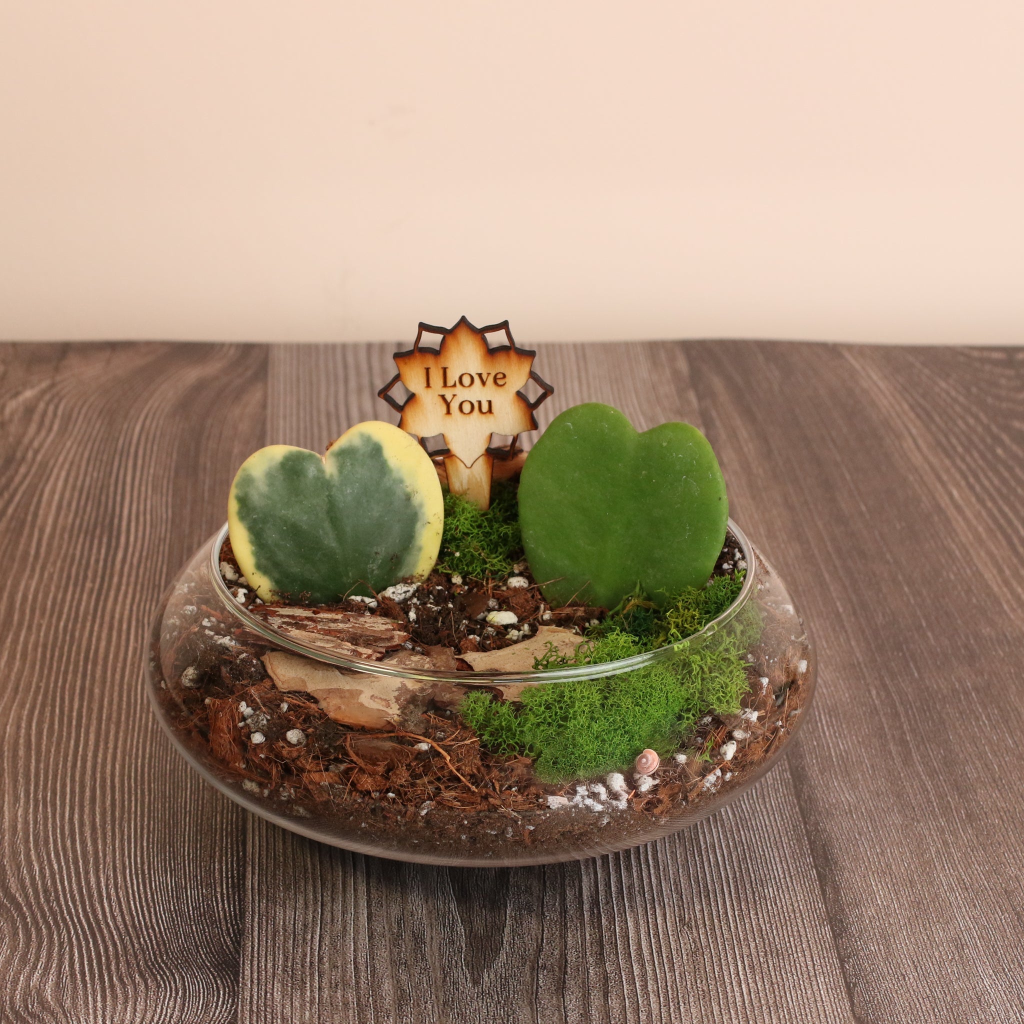 Sweetheart Terrarium Workshop - Thursday, TBD