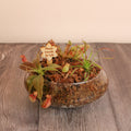 Sweetheart Terrarium Workshop - Thursday, TBD