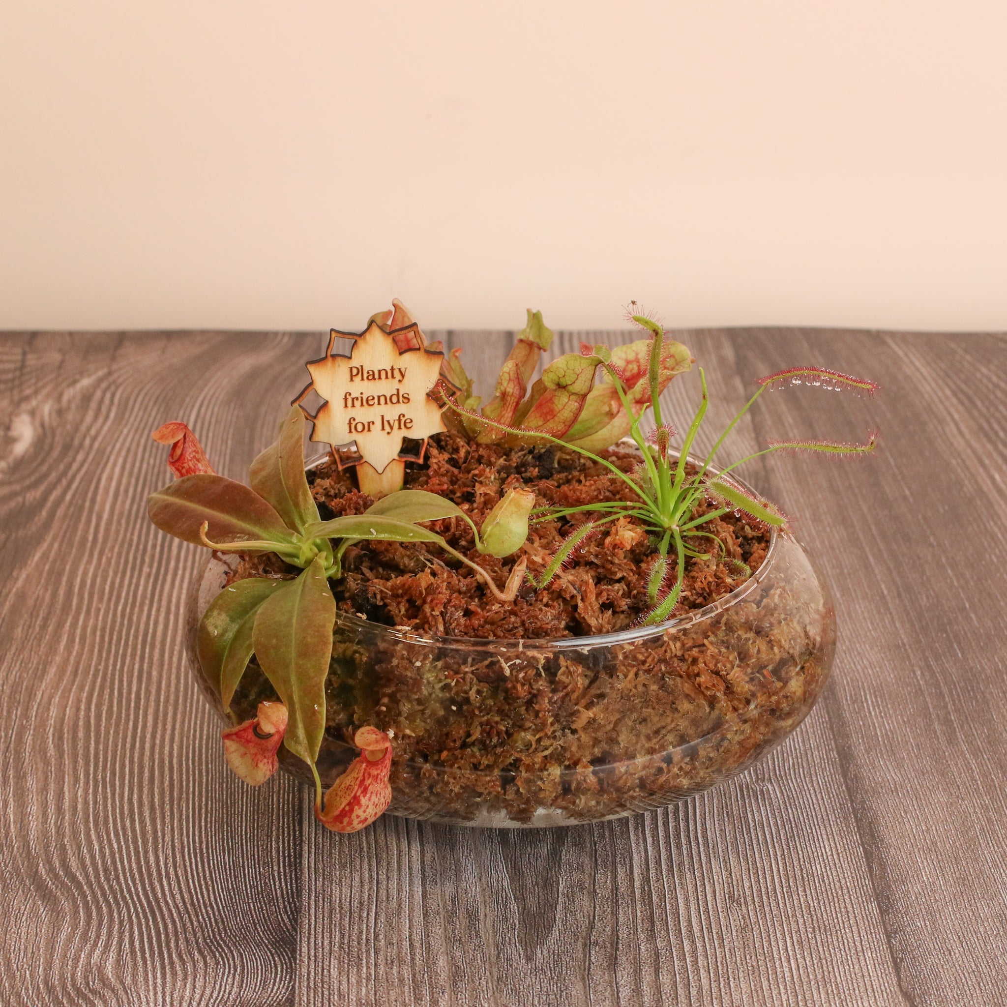 Sweetheart Terrarium Workshop - Thursday, TBD