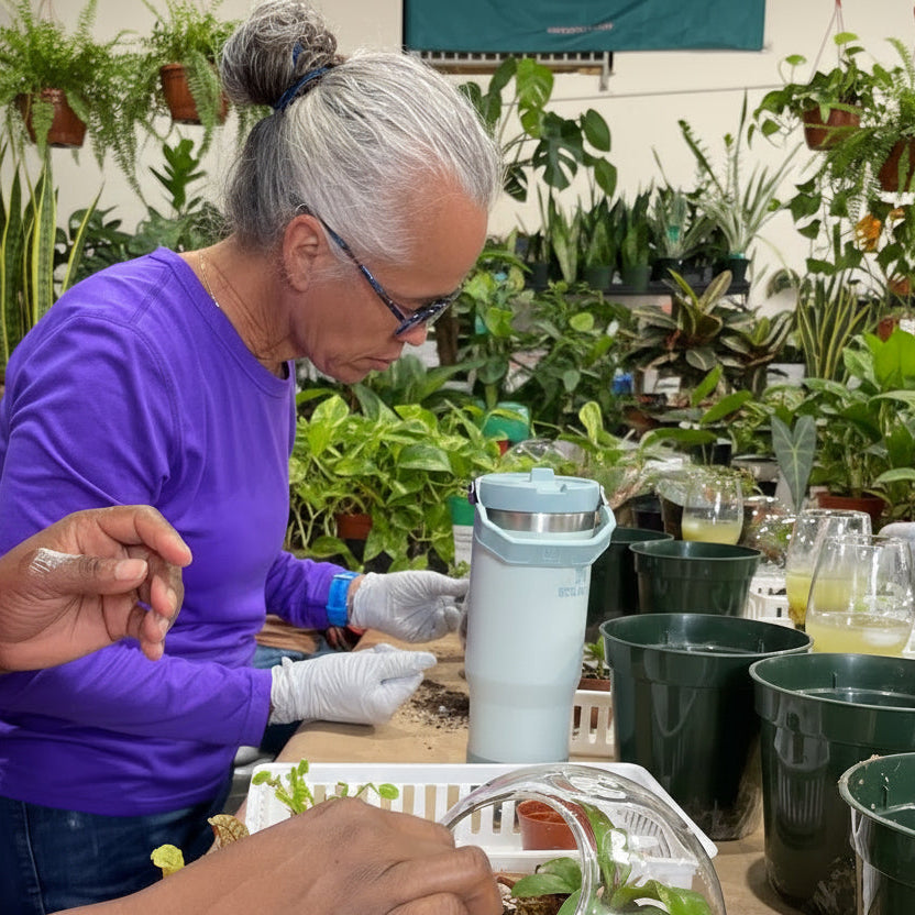Sweetheart Terrarium Workshop - Thursday, TBD
