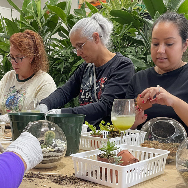Sweetheart Terrarium Workshop - Thursday, TBD