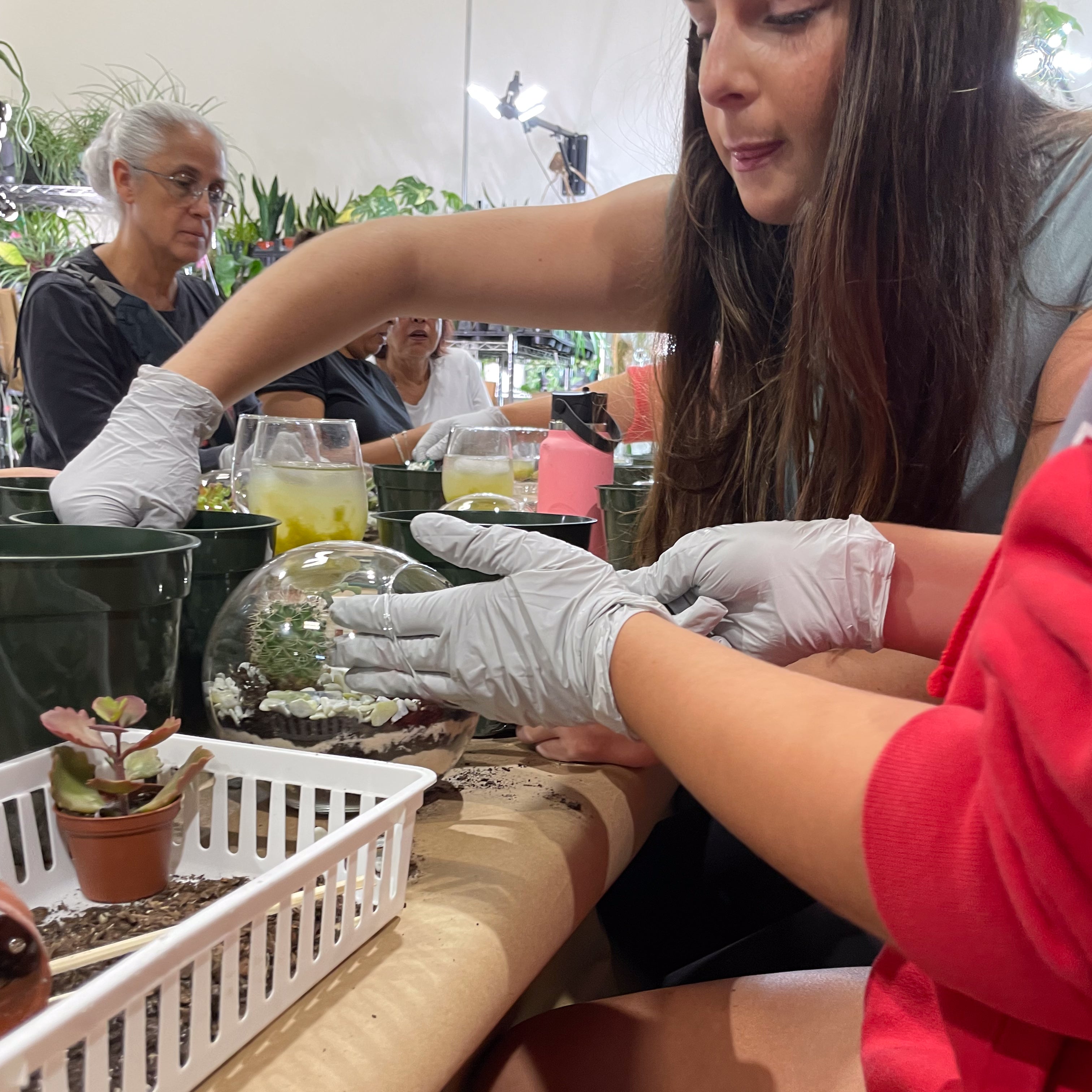 Sweetheart Terrarium Workshop - Thursday, TBD