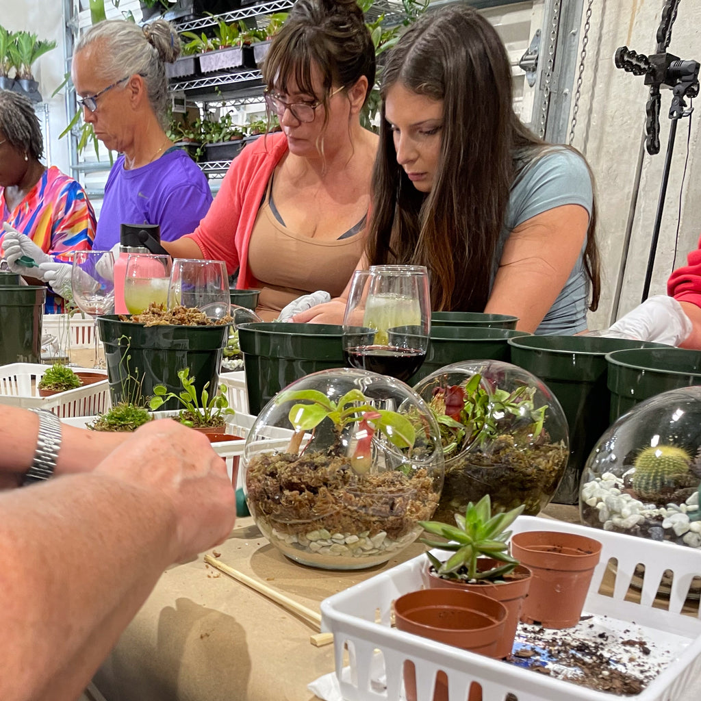 Sweetheart Terrarium Workshop - Thursday, TBD