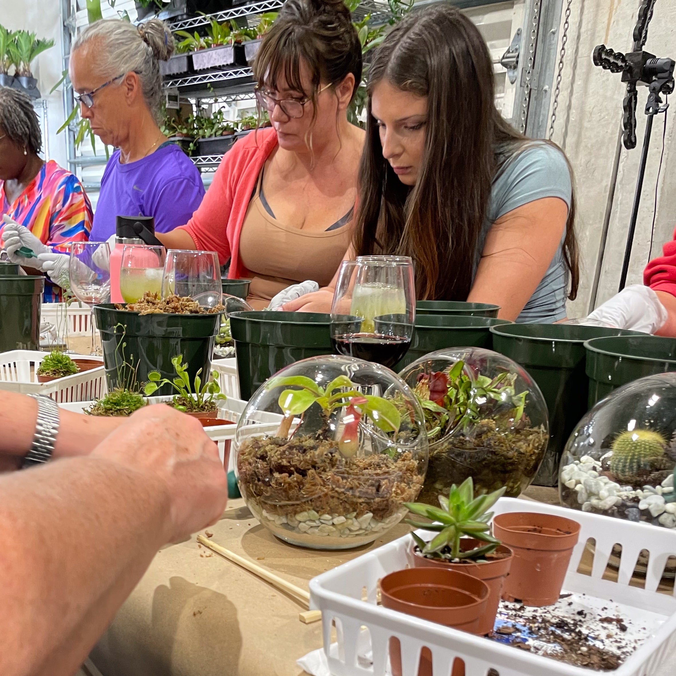 Sweetheart Terrarium Workshop - Thursday, TBD