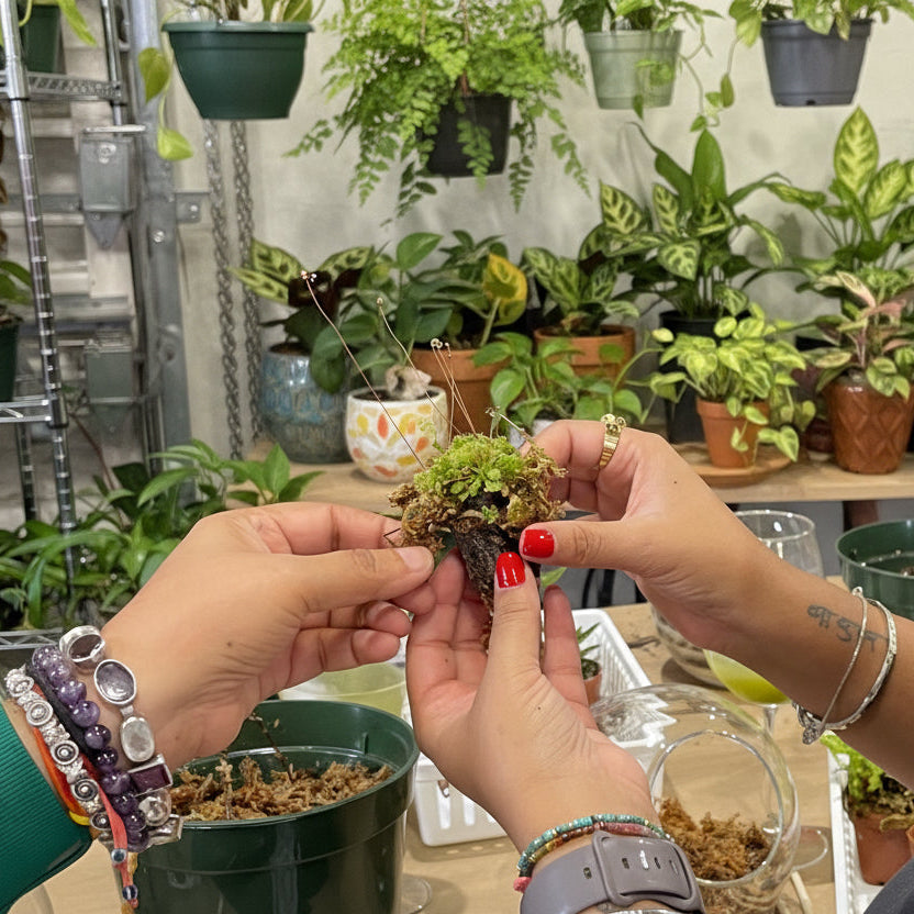 Sweetheart Terrarium Workshop - Thursday, TBD