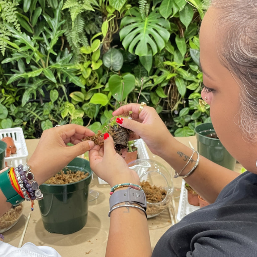 Sweetheart Terrarium Workshop - Thursday, TBD