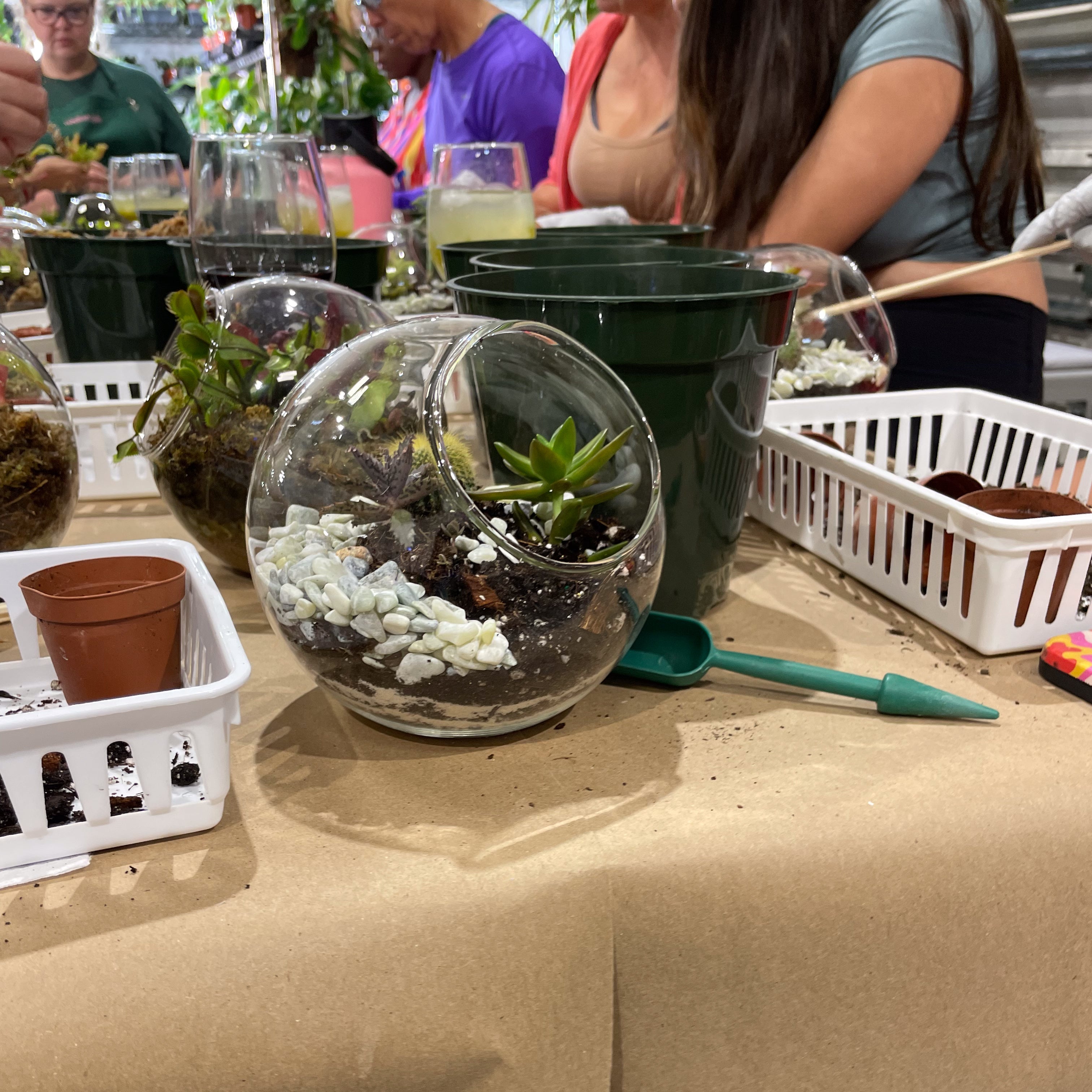 Sweetheart Terrarium Workshop - Thursday, TBD