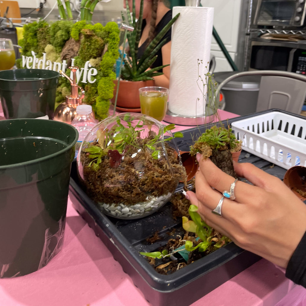 Sweetheart Terrarium Workshop - Thursday, TBD