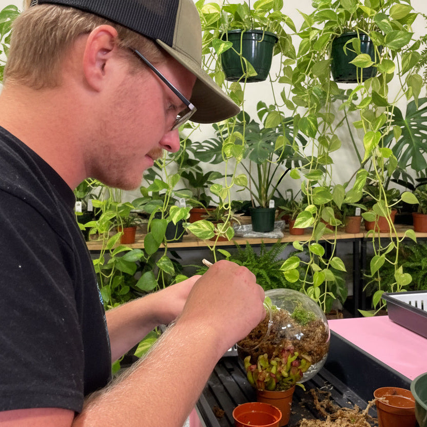 Sweetheart Terrarium Workshop - Thursday, TBD