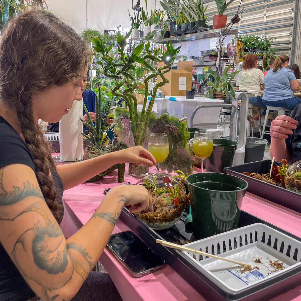 Sweetheart Terrarium Workshop - Thursday, TBD