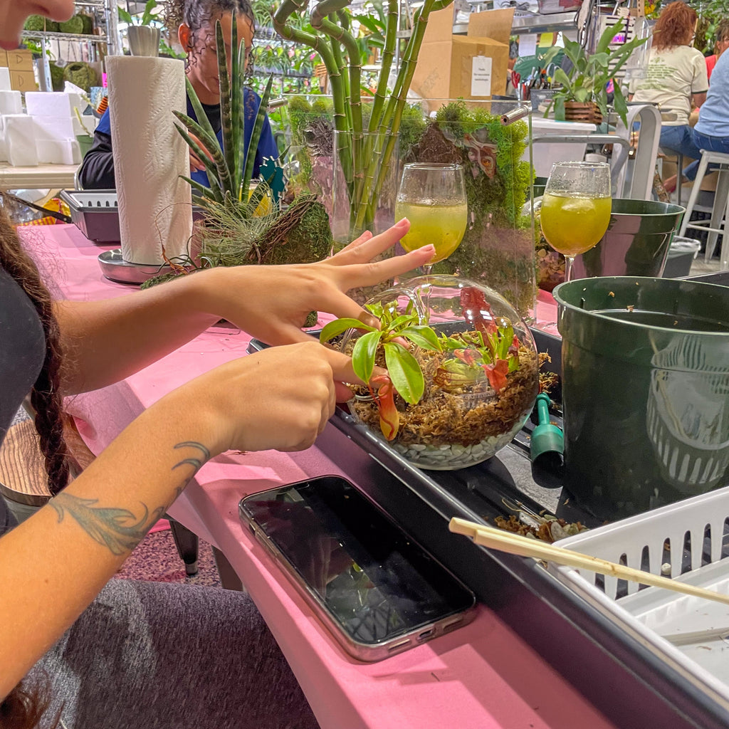 Sweetheart Terrarium Workshop - Thursday, TBD