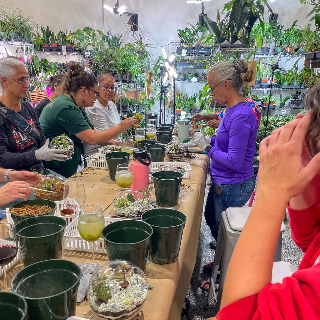 Sweetheart Terrarium Workshop - Thursday, TBD