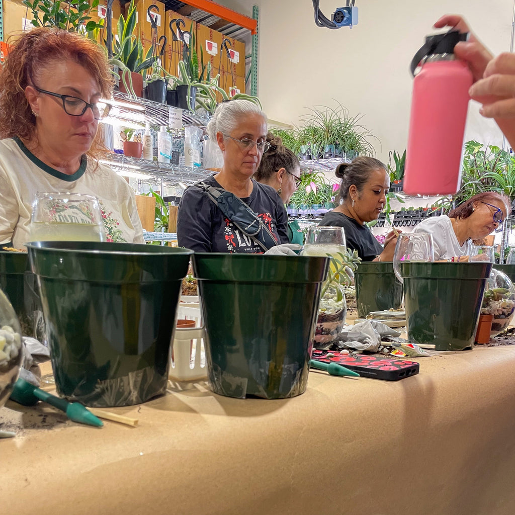 Sweetheart Terrarium Workshop - Thursday, TBD
