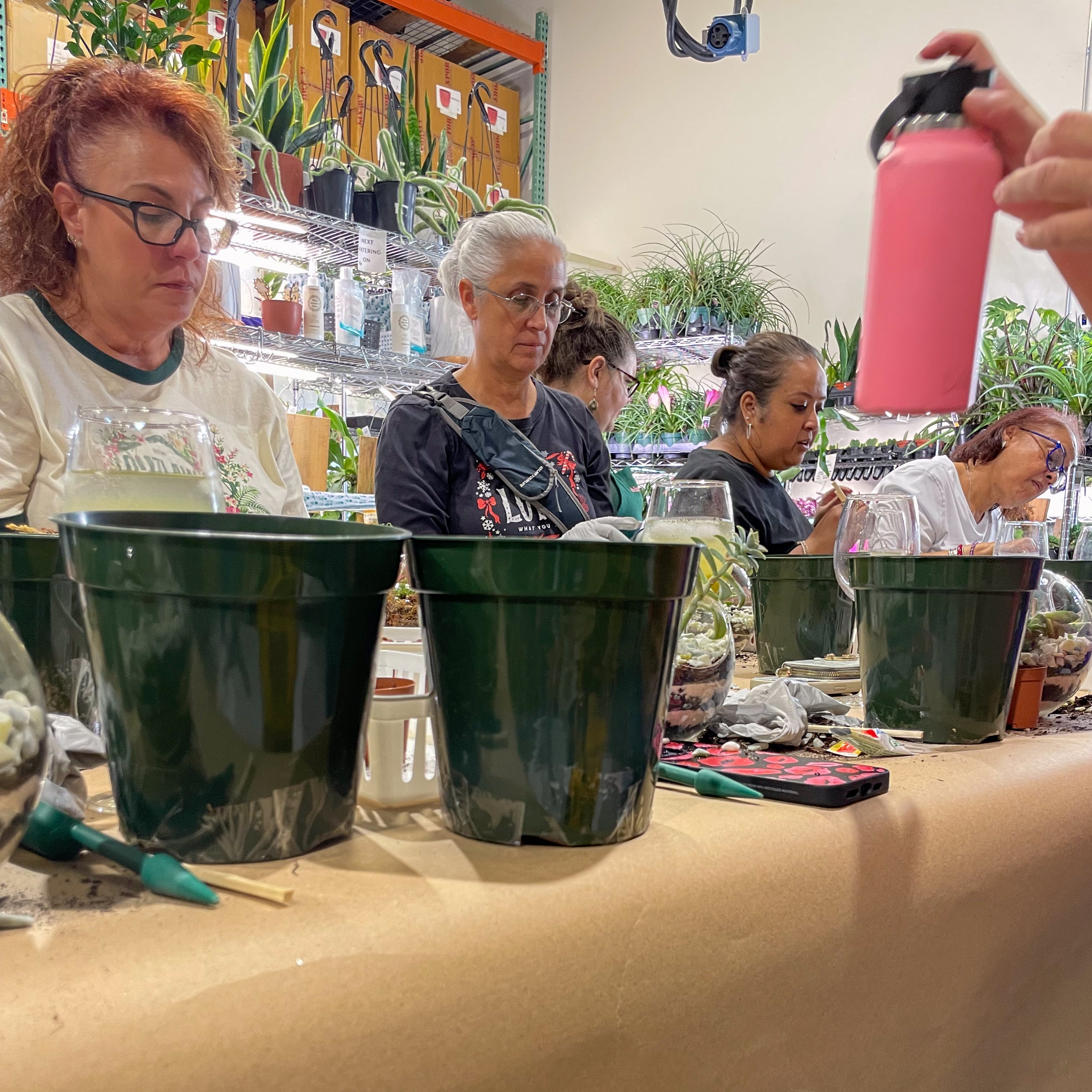 Sweetheart Terrarium Workshop - Thursday, TBD