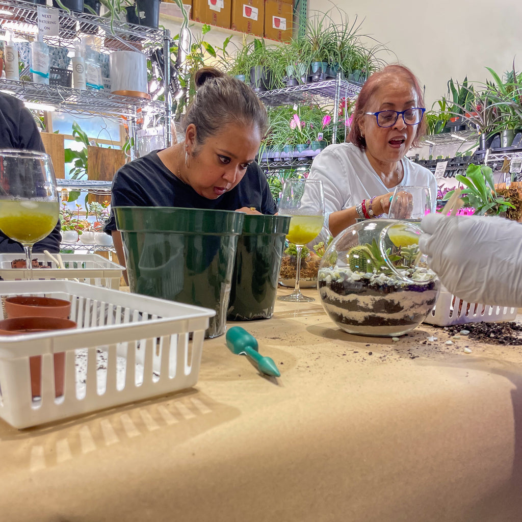 Sweetheart Terrarium Workshop - Thursday, TBD