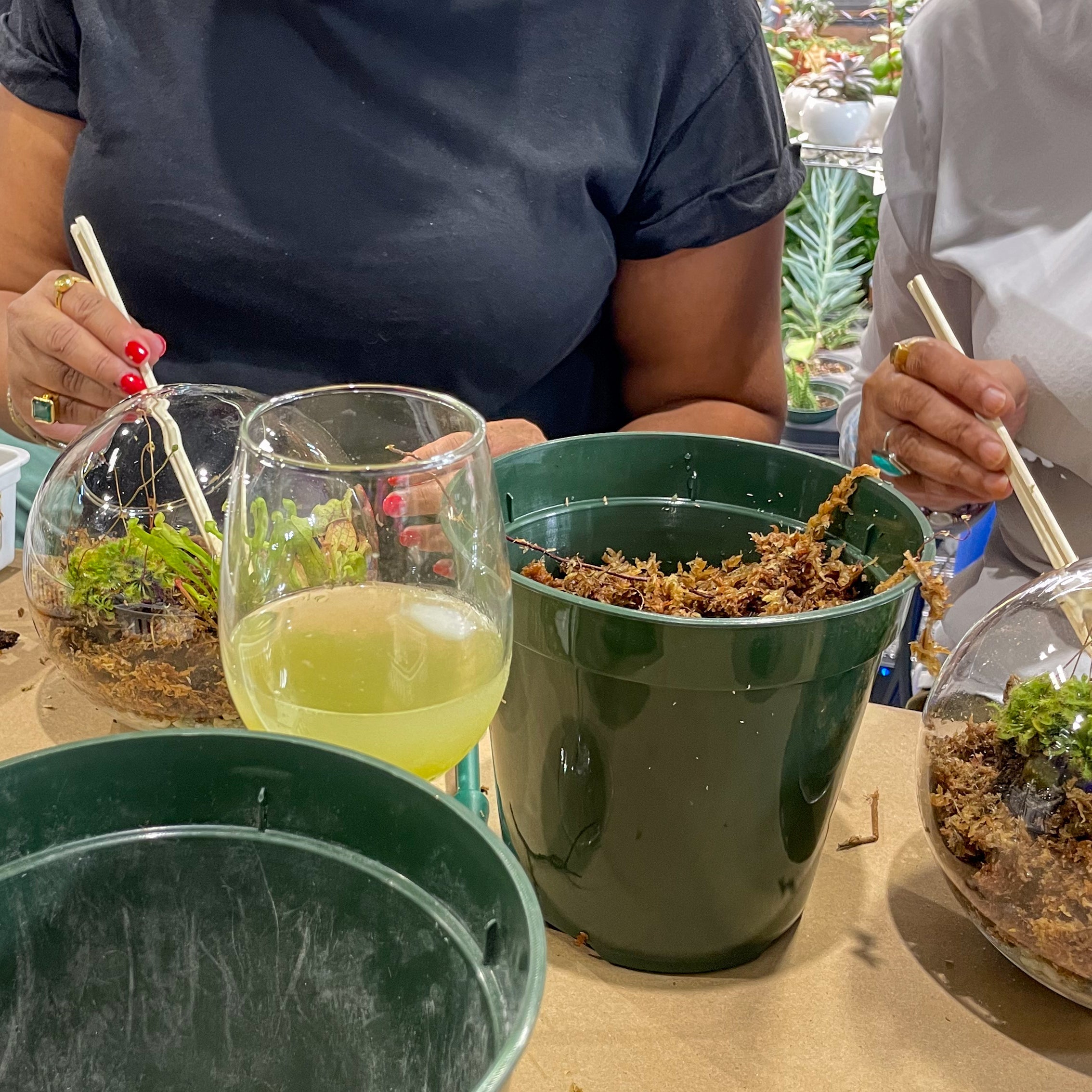 Sweetheart Terrarium Workshop - Thursday, TBD